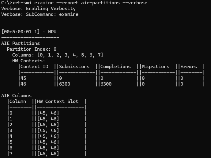 _images/aie_partitions_verbose.png